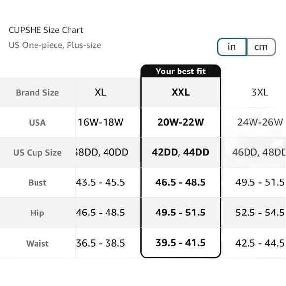 NWT Cupshe Womens Plus Size V Neck Mesh Sheer One Piece Swimsuit Black Size 2X - Picture 6 of 7